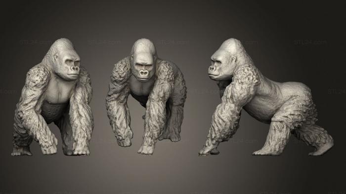 Статуэтки животных (Горилла, STKJ_2234) 3D модель для ЧПУ станка